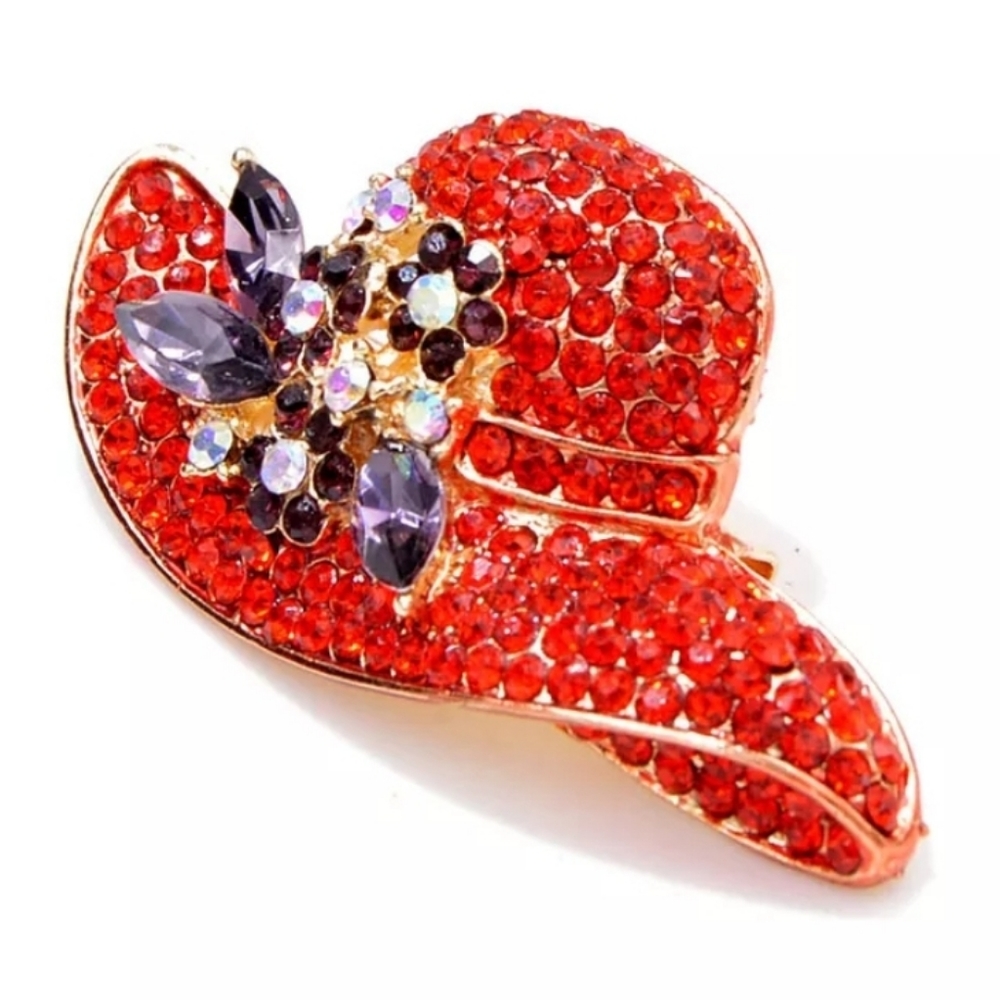NWT Hat Brooches for Women Red Color